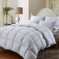 China supplier hotel 100% cotton white down comforter/microfiber quilt/polyester duvet