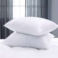 5 star hotel premium quality white goose duck down feather pillow