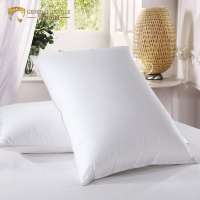 Modern designs 100% cotton fabric soft touch relieve pressure down and feather pillow for sweet sleeping