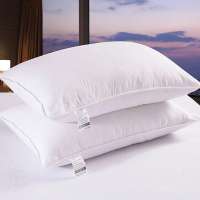 Made in China top quality 5 star hotel wholesale down pillow